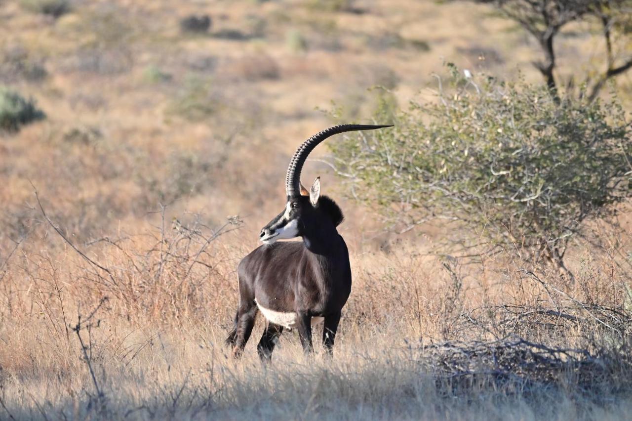 Aloegrove Safari Lodge Otjiwarongo Εξωτερικό φωτογραφία