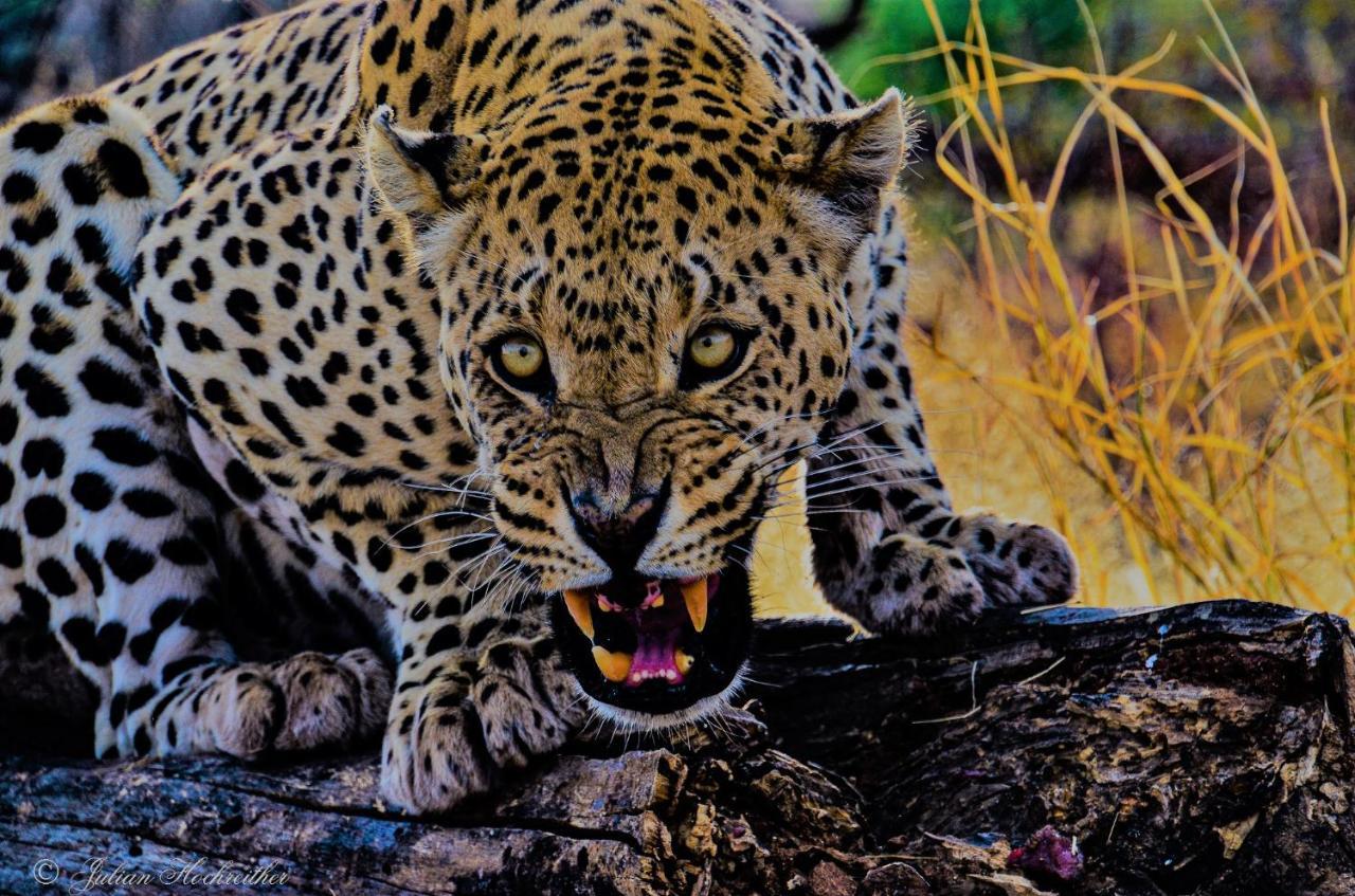 Aloegrove Safari Lodge Otjiwarongo Εξωτερικό φωτογραφία