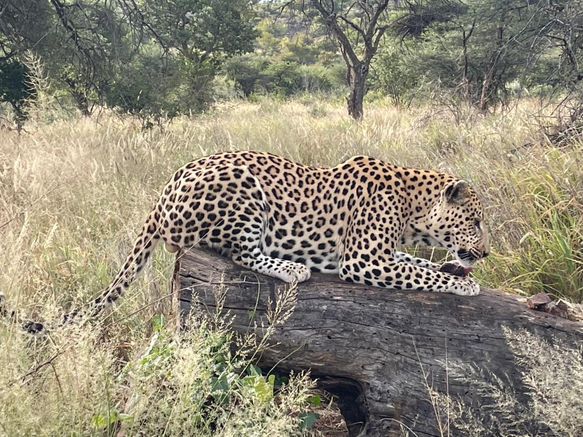 Aloegrove Safari Lodge Otjiwarongo Εξωτερικό φωτογραφία