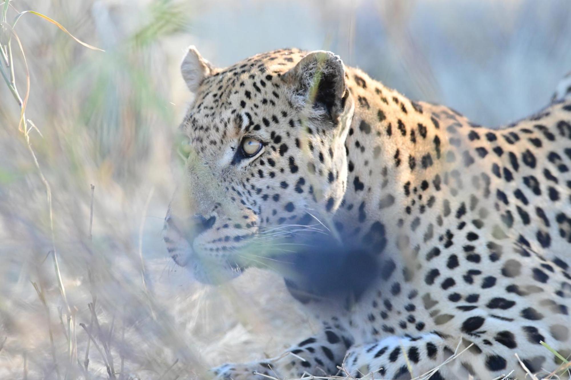Aloegrove Safari Lodge Otjiwarongo Εξωτερικό φωτογραφία