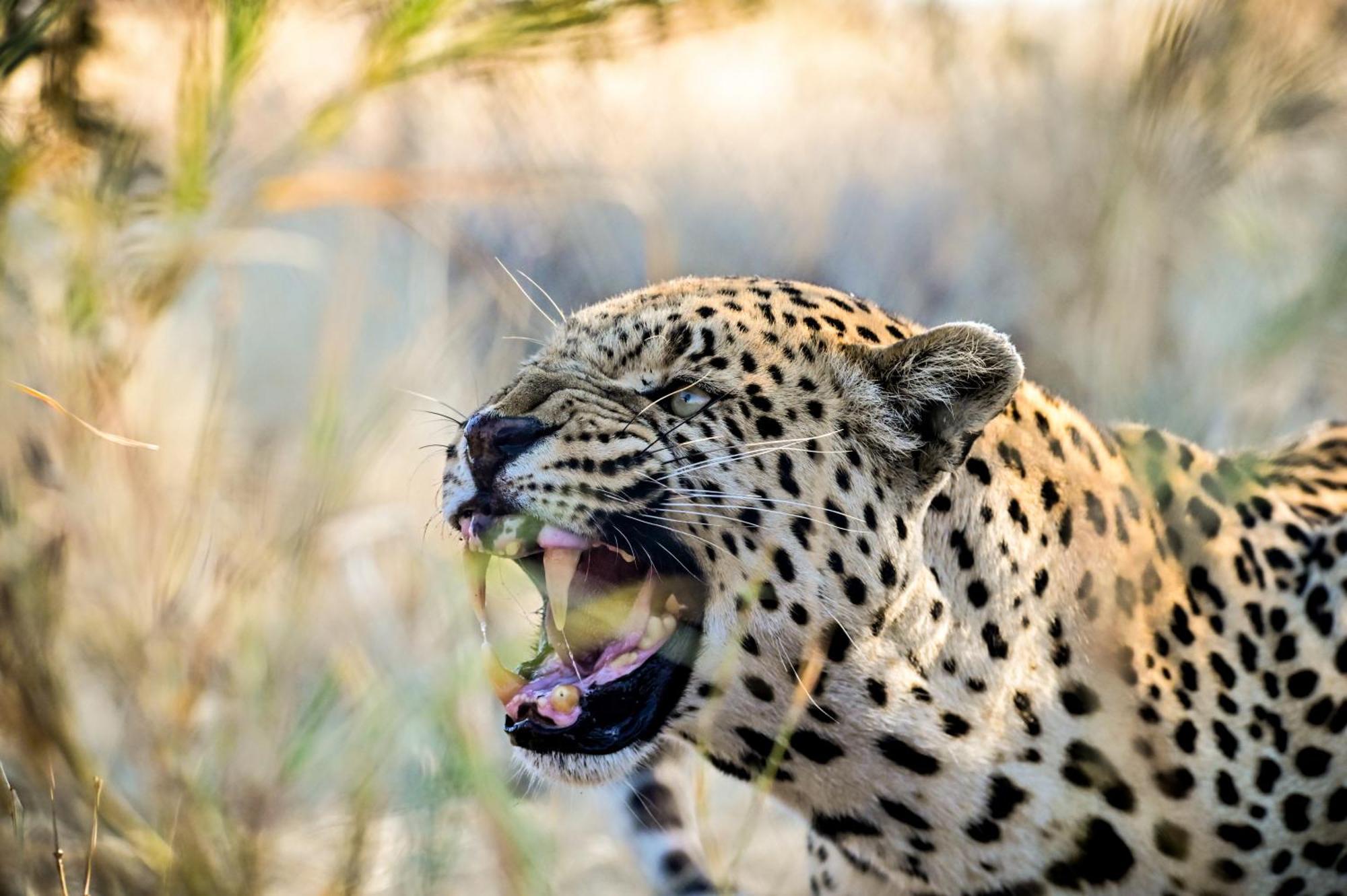 Aloegrove Safari Lodge Otjiwarongo Εξωτερικό φωτογραφία