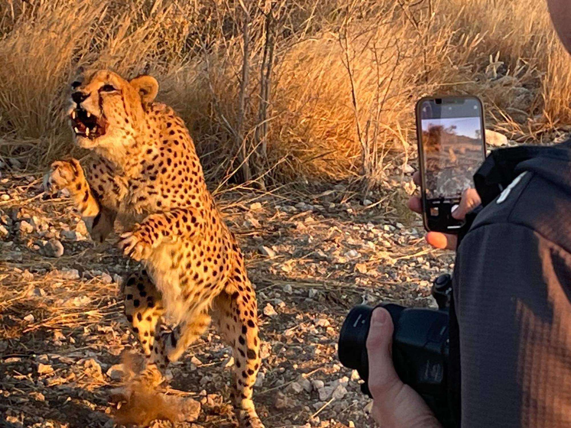 Aloegrove Safari Lodge Otjiwarongo Εξωτερικό φωτογραφία